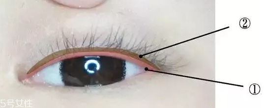 內(nèi)眼線一定要畫嗎？畫好睫毛根部