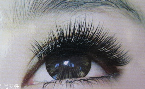 種睫毛多少錢？種睫毛的保持時間