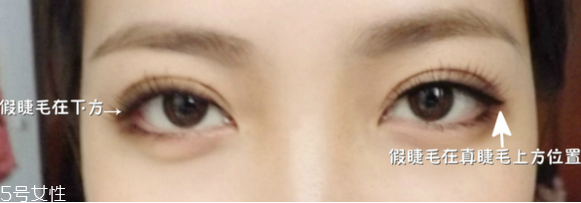 假睫毛是一次性的嗎？假睫毛可以重復使用