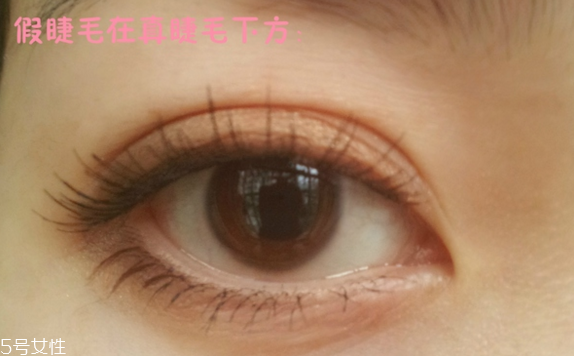 假睫毛是一次性的嗎？假睫毛可以重復使用