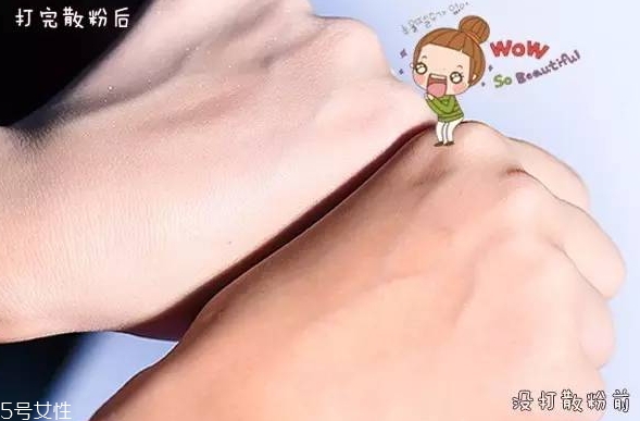 紀梵希散粉和悅詩風吟散粉哪個好？