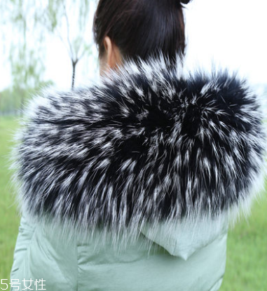 大毛領(lǐng)怎么打理？大毛領(lǐng)帶你度過(guò)溫暖冬季