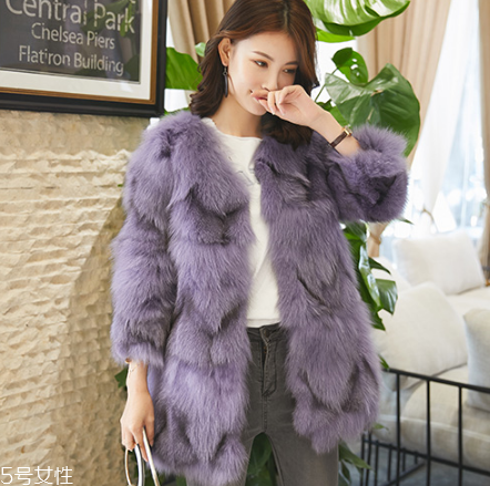 皮草的毛亂了怎么辦？巧用吹風(fēng)機(jī)輕松解決