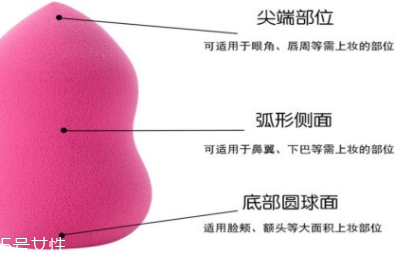 立體化妝粉撲有哪些用途？小身材大功效