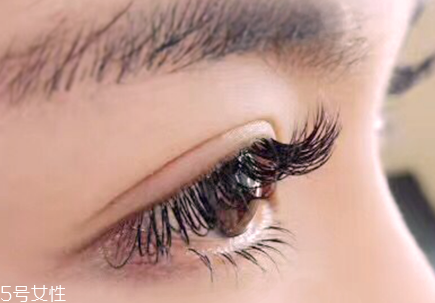 睫毛老是掉是怎么回事？睫毛剪了不會變長