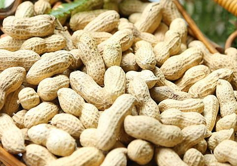 烤箱烤帶殼花生時(shí)間溫度 烤箱烤帶殼花生技巧 烤箱烤帶殼花生時(shí)間溫度 烤箱烤帶殼花生技巧