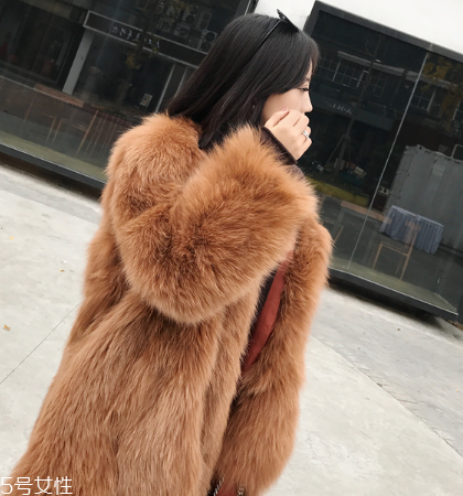 皮草和貂哪個(gè)貴？它們的價(jià)值你清楚嗎