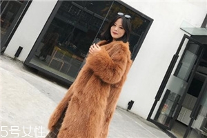 皮草和貂哪個(gè)貴？它們的價(jià)值你清楚嗎