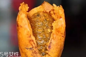 牛卵坨籽可以吃嗎？看看它的神奇功效