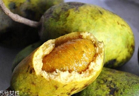 牛卵坨籽可以吃嗎？看看它的神奇功效