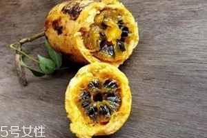 牛卵坨的營養(yǎng)價值 牛卵坨的功效作用 牛卵坨的營養(yǎng)價值 牛卵坨的功效作用