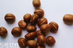 腸胃疾病為什么不能吃栗子？導致腸胃脹氣