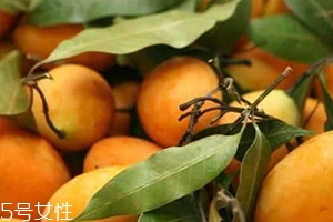 枇杷芒多少錢(qián)一斤？品質(zhì)越好價(jià)格越貴