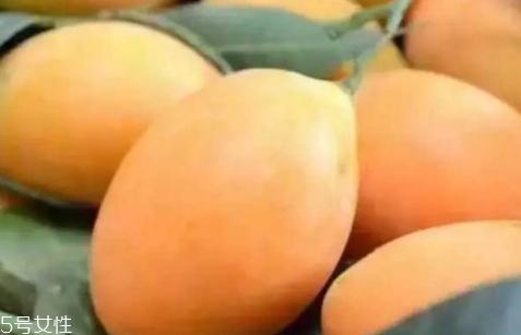 枇杷芒多少錢(qián)一斤？品質(zhì)越好價(jià)格越貴