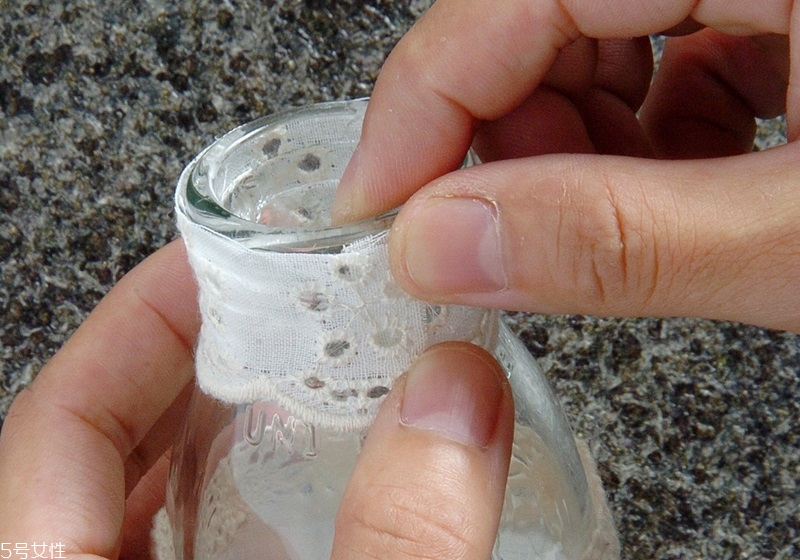 牛奶瓶廢物利用做花盆DIY 空瓶大變身 牛奶瓶廢物利用做花盆DIY 空瓶大變身