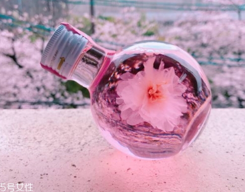 奈良金箔櫻花酒多少錢？奈良櫻花酒好喝嗎