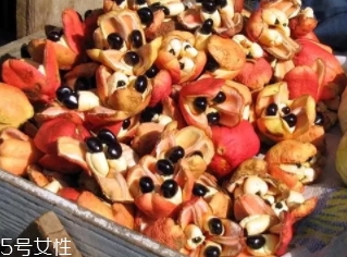 阿基果是什么水果？阿基果功效作用