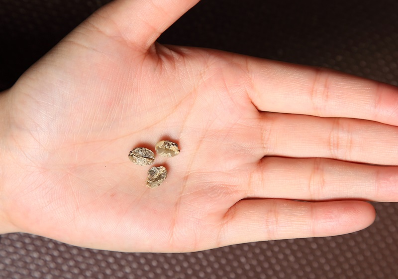 咖啡豆怎么挑選 選好保存更重要 咖啡豆怎么挑選 選好保存更重要