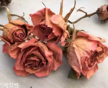 口紅色號(hào)最火排名 口紅色號(hào)哪個(gè)好看 口紅色號(hào)最火排名 口紅色號(hào)哪個(gè)好看