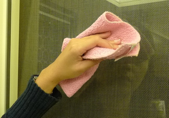 洋蔥擦擋風(fēng)玻璃方法 你絕對沒想過 洋蔥擦擋風(fēng)玻璃方法 你絕對沒想過