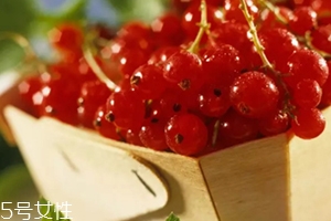 醋栗什么味道好吃嗎？酸甜可口惹人愛