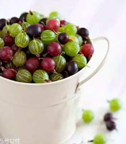 醋栗什么味道好吃嗎？酸甜可口惹人愛