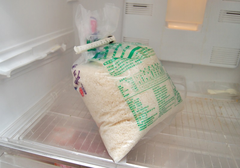 怎么預(yù)防米蟲 必學(xué)的防米蟲4招 怎么預(yù)防米蟲 必學(xué)的防米蟲4招