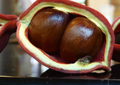 鳳眼果多少錢一斤？觀賞和口感兼具的鳳眼果