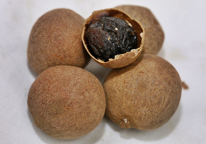 桂圓怎么保存 這樣存放時間長 桂圓怎么保存 這樣存放時間長