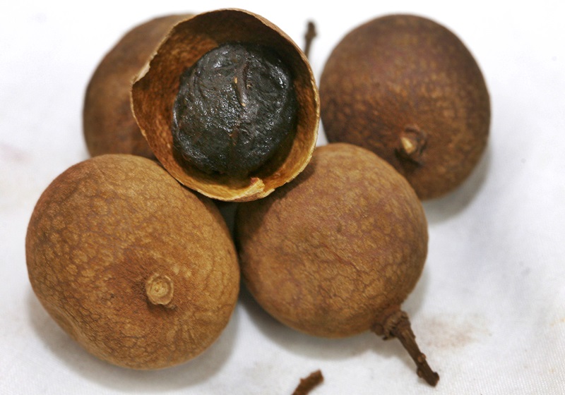 桂圓怎么保存 這樣存放時間長 桂圓怎么保存 這樣存放時間長