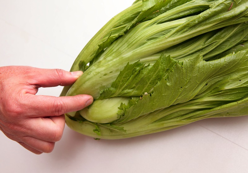 小芥菜和大芥菜的區(qū)別 芥菜種類有多種 小芥菜和大芥菜的區(qū)別 芥菜種類有多種