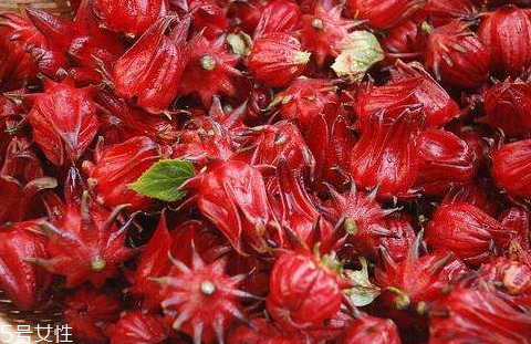 洛神果的功效與禁忌 洛神果的吃法 洛神果的功效與禁忌 洛神果的吃法