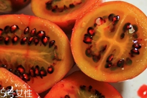 樹番茄多少錢一斤？