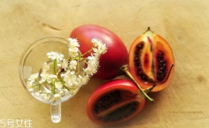 樹番茄孕婦可以吃嗎？這些人要小心食用