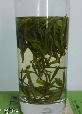 黃山毛峰多少錢一斤？黃山毛峰口感實測