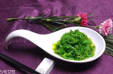 長壽草怎么吃 美味食譜推薦 長壽草怎么吃 美味食譜推薦