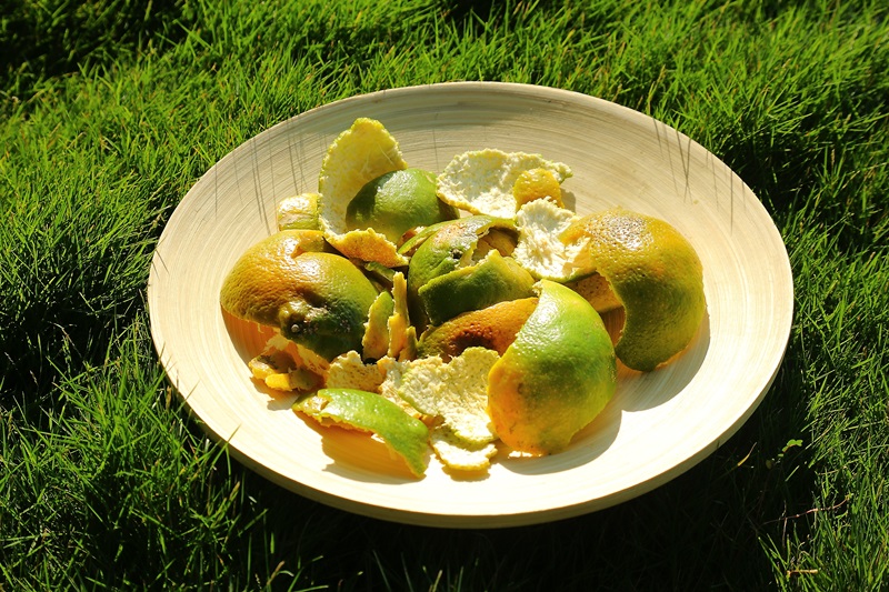 橘子皮怎么泡茶 橘子皮也有很多妙用 橘子皮怎么泡茶 橘子皮也有很多妙用