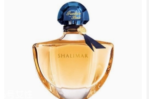 冬天適合用什么香水？這六款香水聞起來暖暖的