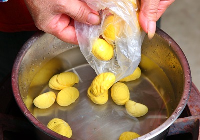 栗子是怎么長(zhǎng)出來(lái)的 開(kāi)花結(jié)果取果仁