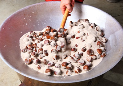 栗子是怎么長(zhǎng)出來(lái)的 開(kāi)花結(jié)果取果仁