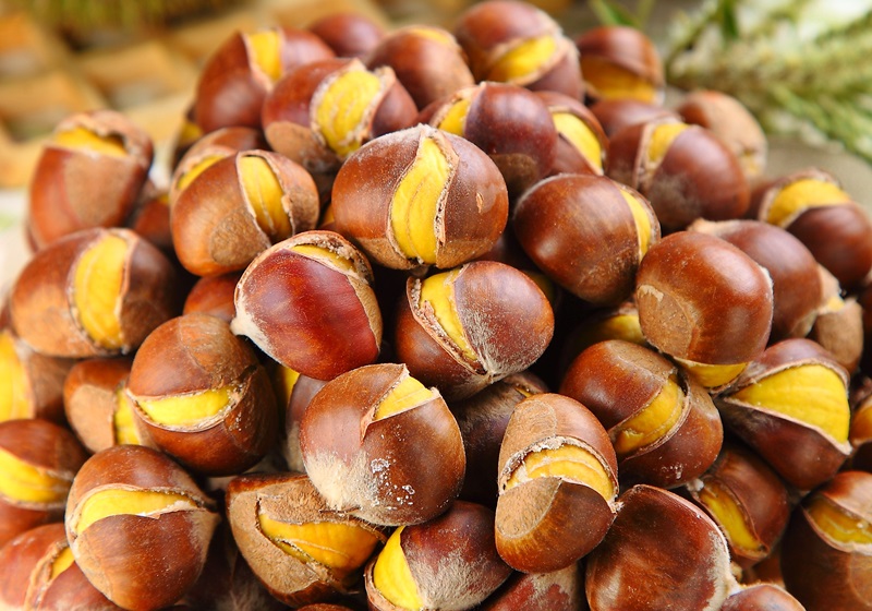 栗子是怎么長(zhǎng)出來(lái)的 開(kāi)花結(jié)果取果仁