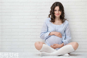 親潤和袋鼠媽媽哪個好用？孕婦專用品牌