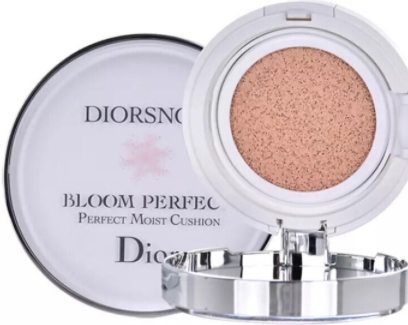 雅詩蘭黛和dior迪奧氣墊哪個好？