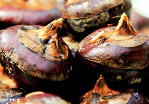 馬蹄可以放冰箱嗎 可以冰箱保鮮 馬蹄可以放冰箱嗎 可以冰箱保鮮