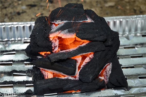 怎么用木炭生火 木炭生火技巧 怎么用木炭生火 木炭生火技巧