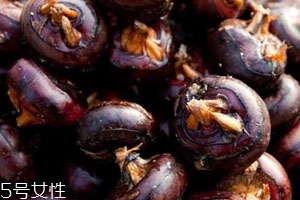 馬蹄發(fā)芽還能吃嗎 建議扔掉 馬蹄發(fā)芽還能吃嗎 建議扔掉