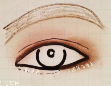 大地色眼影怎么配色？用好大地色百搭又時尚
