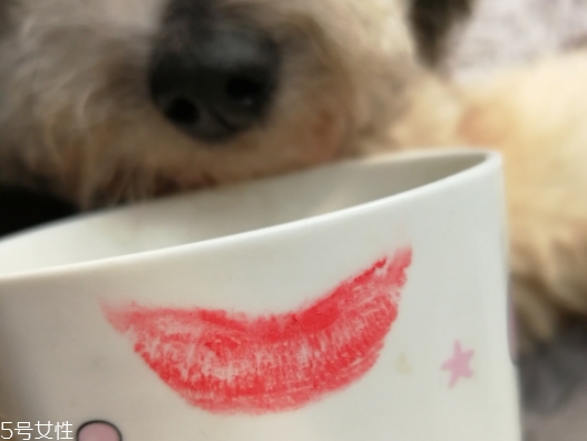 雅詩蘭黛口紅怎么樣？