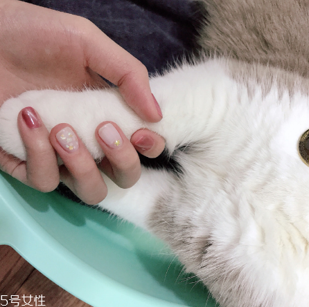 ins風(fēng)新年美甲合集 讓你整個新年美美噠 ins風(fēng)新年美甲合集 讓你整個新年美美噠