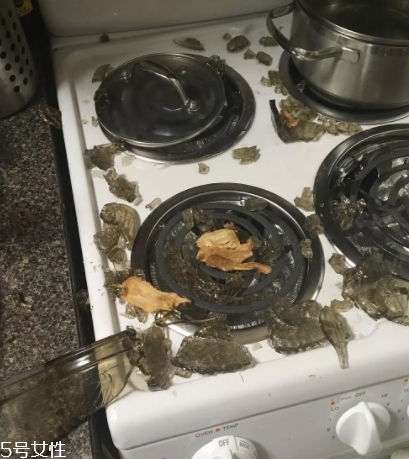 康寧鍋會爆炸嗎？請小心使用